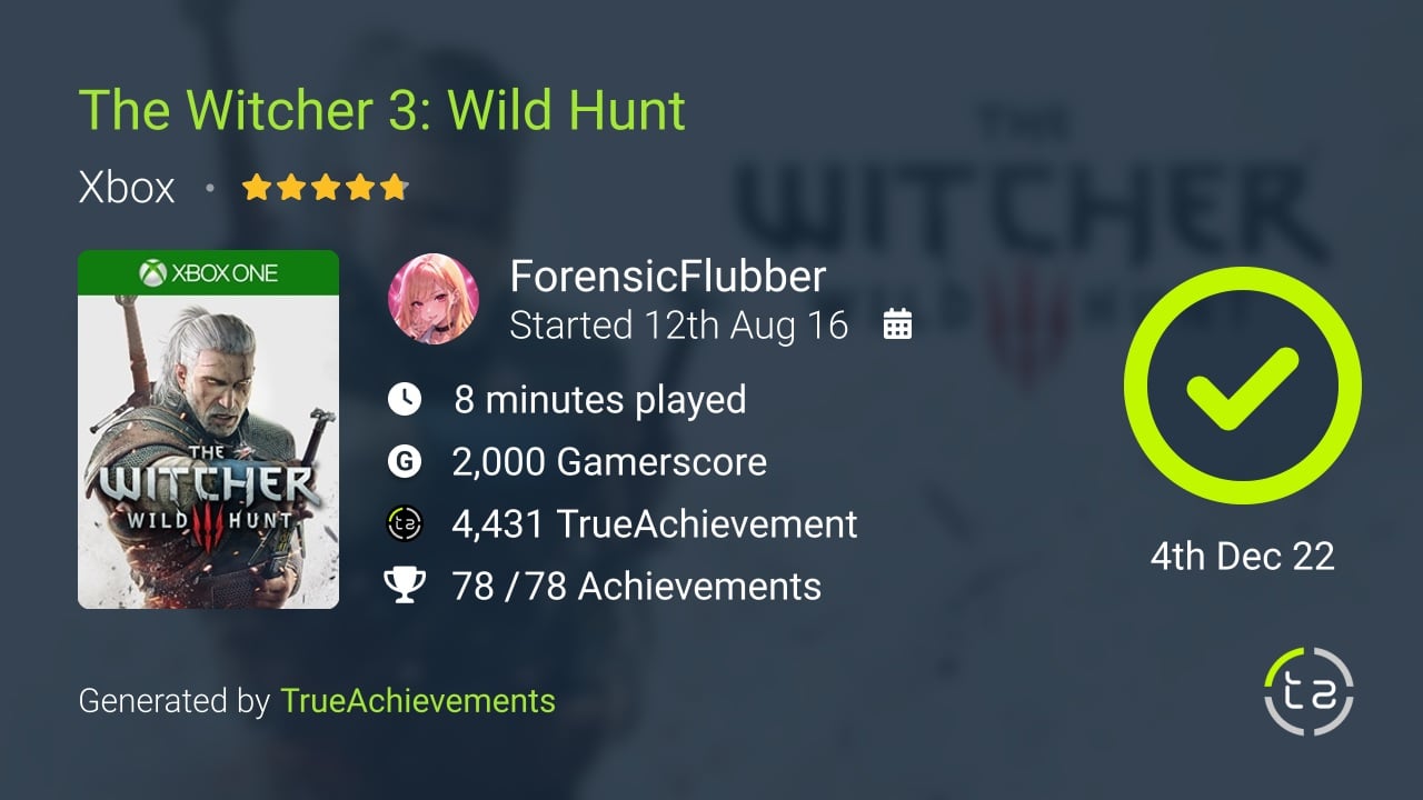 The Witcher 3 Wild Hunt achievement summary